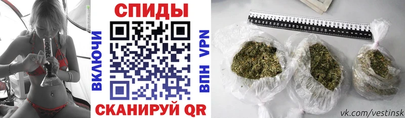 блэк спрут зеркало  Абдулино  БУТИРАТ BDO 