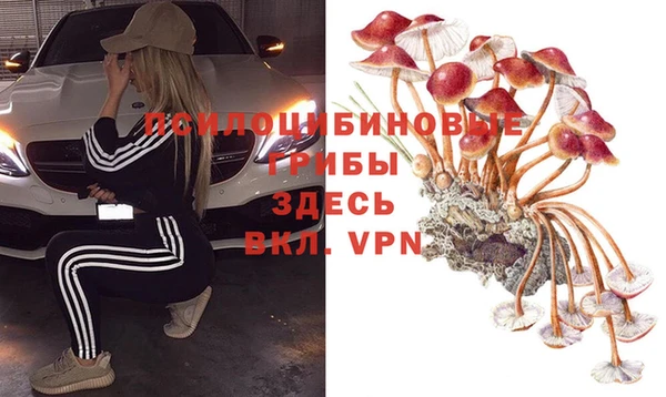 кристаллы Сатка