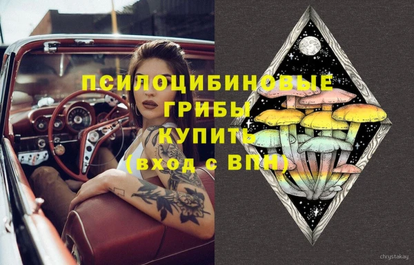 спиды Абинск